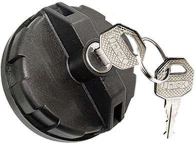 RO93890 - imagen 1