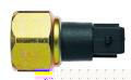 77776 - imagen 2