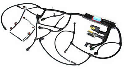 RO910974 - imagen 1