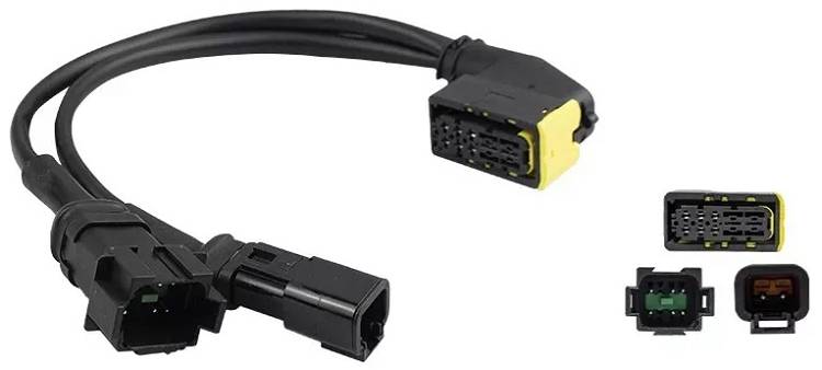 RO915079 - imagen 2