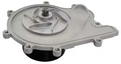 RO98065 - imagen 2