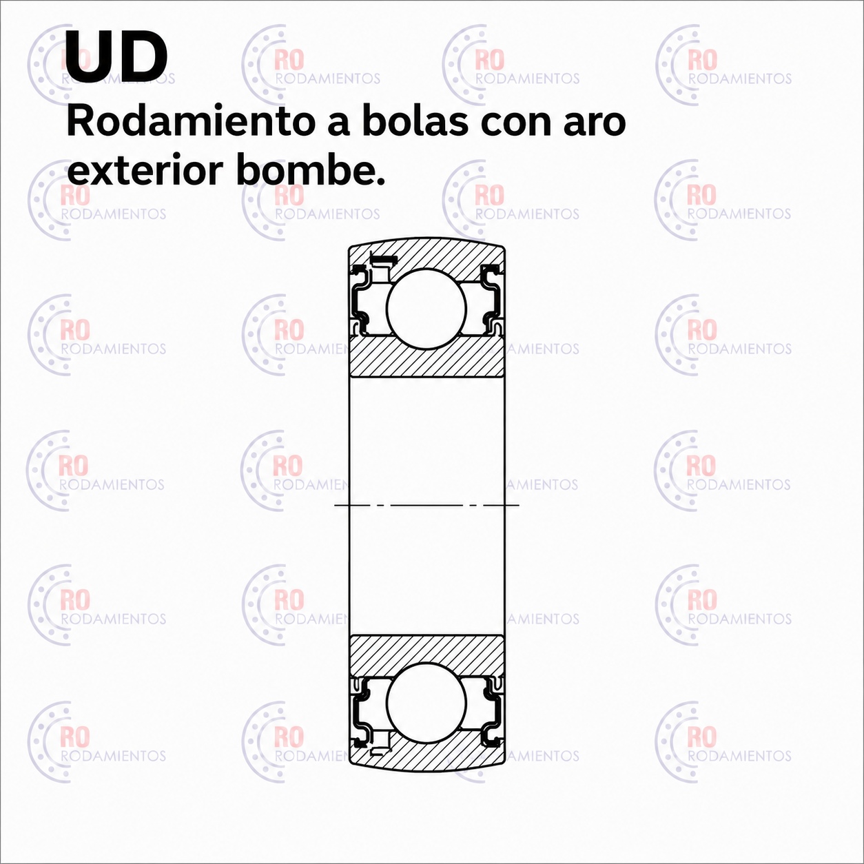 UD 209 2RS - imagen 2