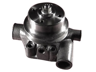 79071 - imagen 1