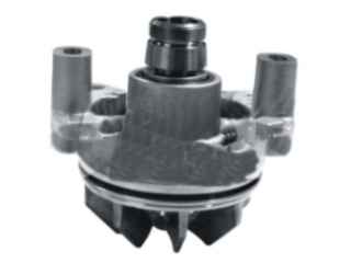 79248 - imagen 2