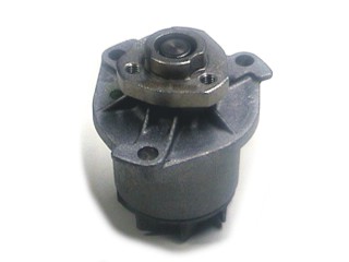 79207 - imagen 1