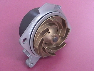 79204 - imagen 1