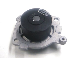 79225 - imagen 1