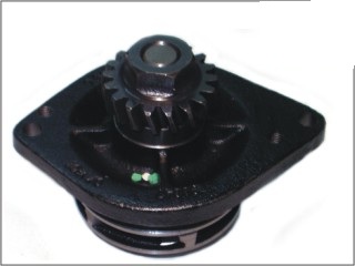 73563 - imagen 1
