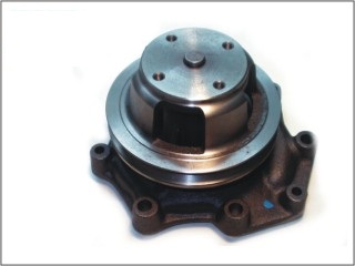 77553 - imagen 1
