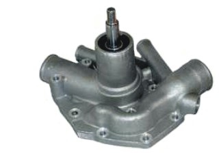 79161 - imagen 2