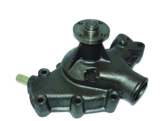 79061 - imagen 2