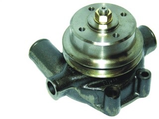 79070 - imagen 2