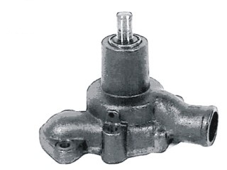 79195 - imagen 2