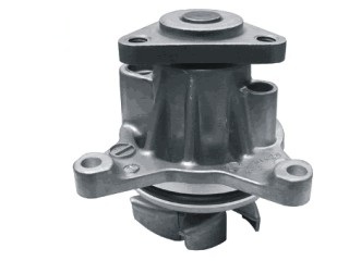 79232 - imagen 2