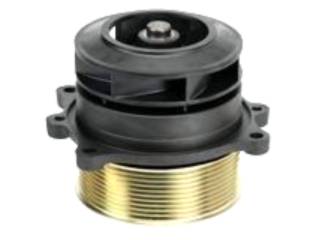 78050 - imagen 2