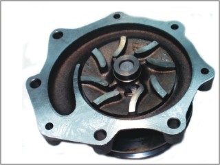 77553 - imagen 2