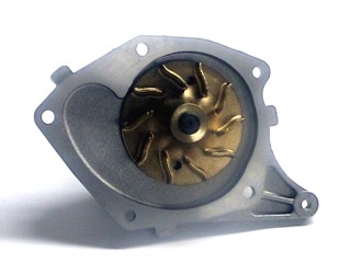 79175 - imagen 2