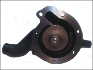 74390 - imagen 2