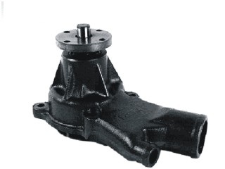 79081 - imagen 2