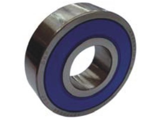 6304 2RS/22 - imagen del producto