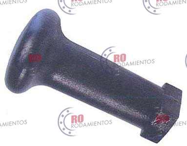 RO91166 - imagen 1
