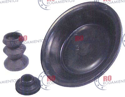 RO91254 - imagen del producto