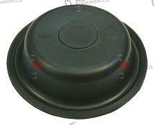 RO91666 - imagen del producto