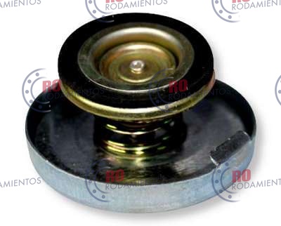 RO93307 - imagen 2