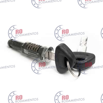 RO93913 - imagen 2