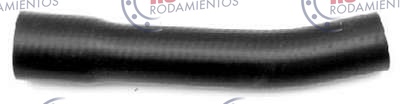 RO94004 - imagen del producto