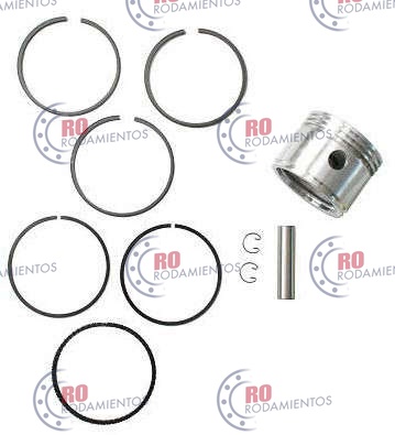 RO94111 - imagen del producto