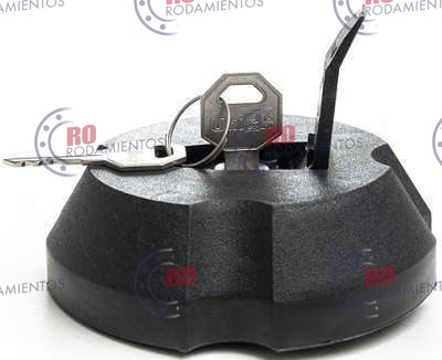 RO90421 - imagen 3