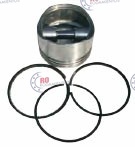RO96081 - imagen del producto