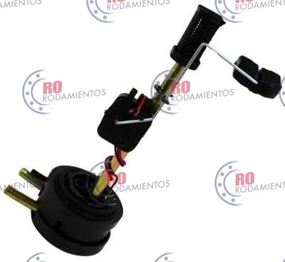 RO90695 - imagen 1
