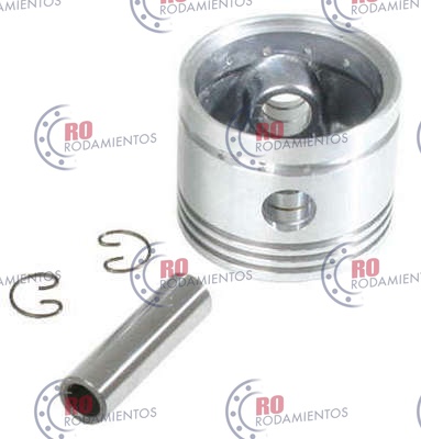 RO97709 - imagen del producto