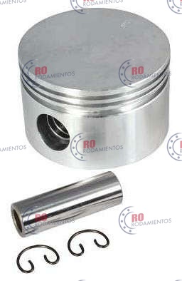 RO97718 - imagen del producto