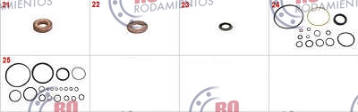 RO910497 - imagen 2