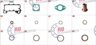 RO910543 - imagen 2