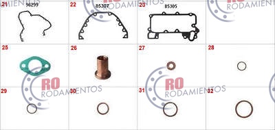 RO910544 - imagen 2