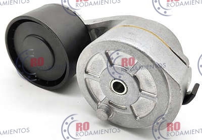 RO910564 - imagen 1