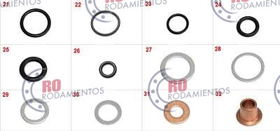 RO910599 - imagen 2