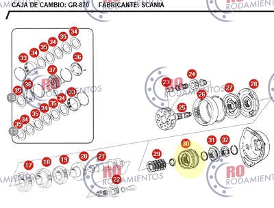 RO910685 - imagen 2