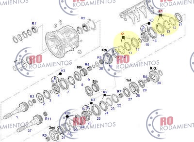 RO910704 - imagen 2
