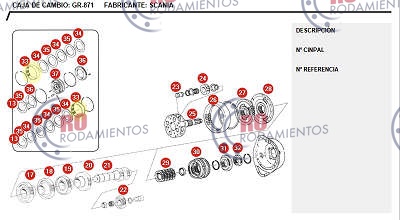 RO910774 - imagen 2