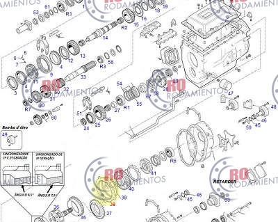 RO910805 - imagen 2