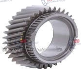 RO910819 - imagen 1