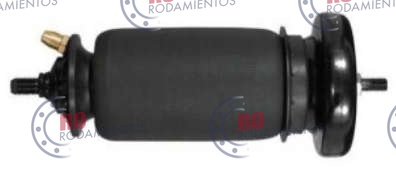 RO910941 - imagen del producto