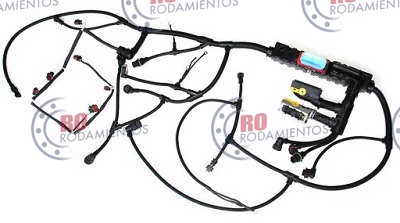 RO910974 - imagen 1