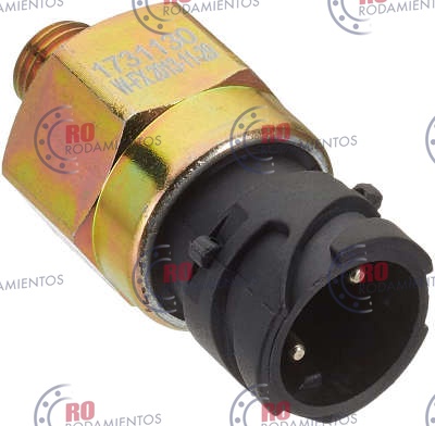 RO910985 - imagen 2