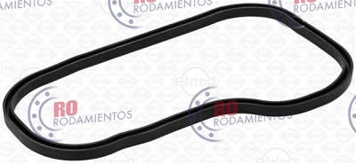 RO911249 - imagen 1